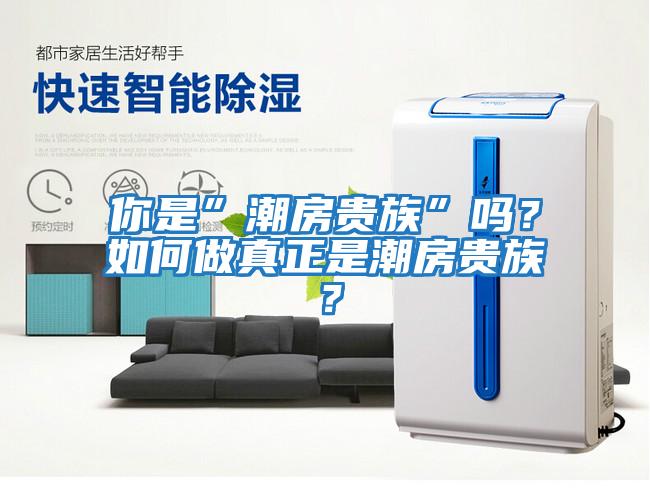 你是”潮房貴族”嗎？如何做真正是潮房貴族？
