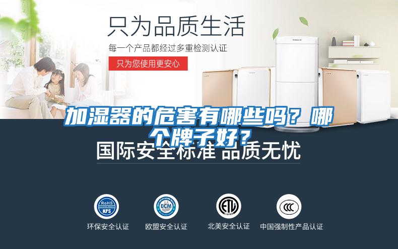 加濕器的危害有哪些嗎？哪個(gè)牌子好？