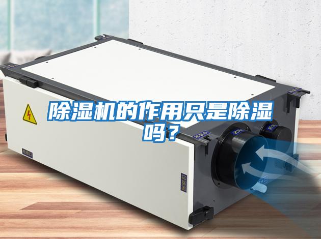 除濕機的作用只是除濕嗎？