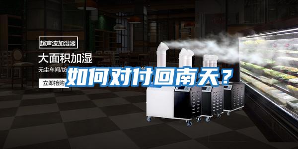 如何對付回南天？
