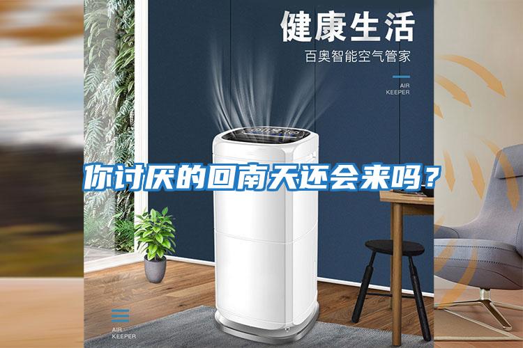 你討厭的回南天還會(huì )來(lái)嗎？