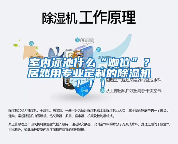 室內泳池什么“咖位”？居然用專(zhuān)業(yè)定制的除濕機?。?！