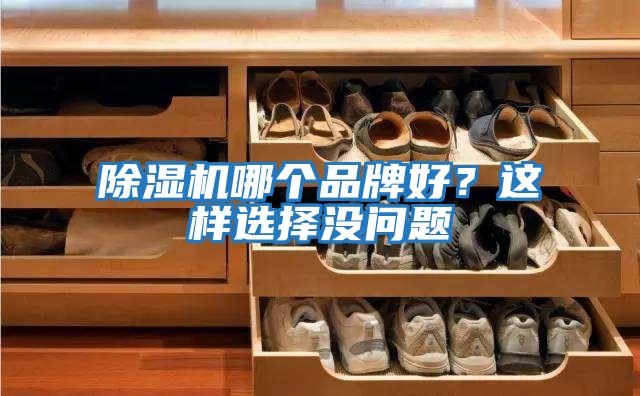 除濕機哪個(gè)品牌好？這樣選擇沒(méi)問(wèn)題
