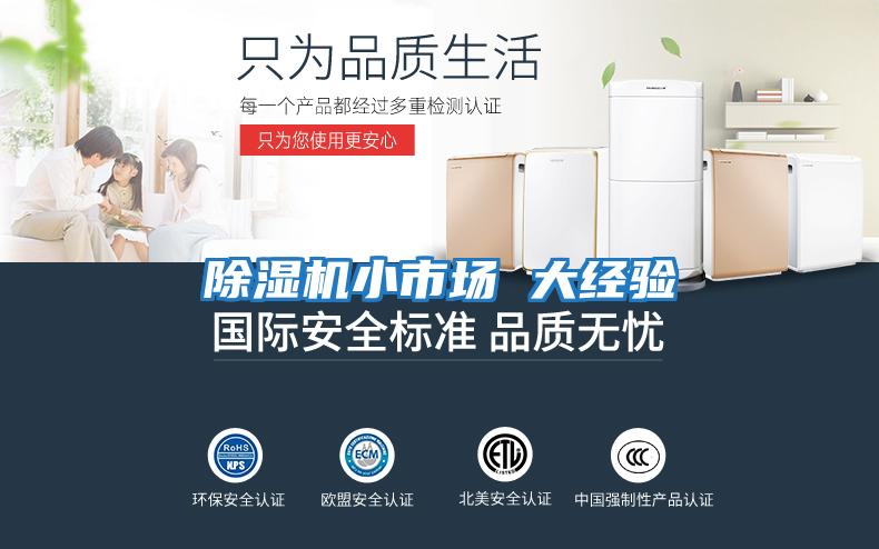 除濕機小市場(chǎng) 大經(jīng)驗