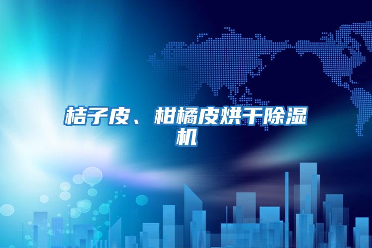 桔子皮、柑橘皮烘干除濕機