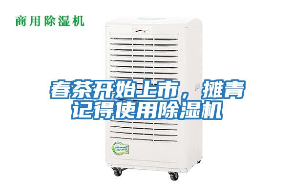 春茶開(kāi)始上市，攤青記得使用除濕機