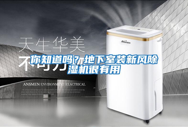 你知道嗎？地下室裝新風(fēng)除濕機很有用