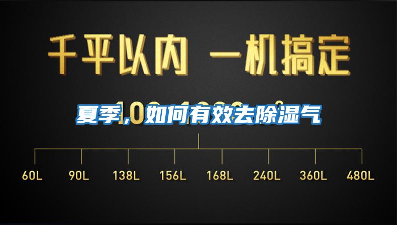 夏季，如何有效去除濕氣