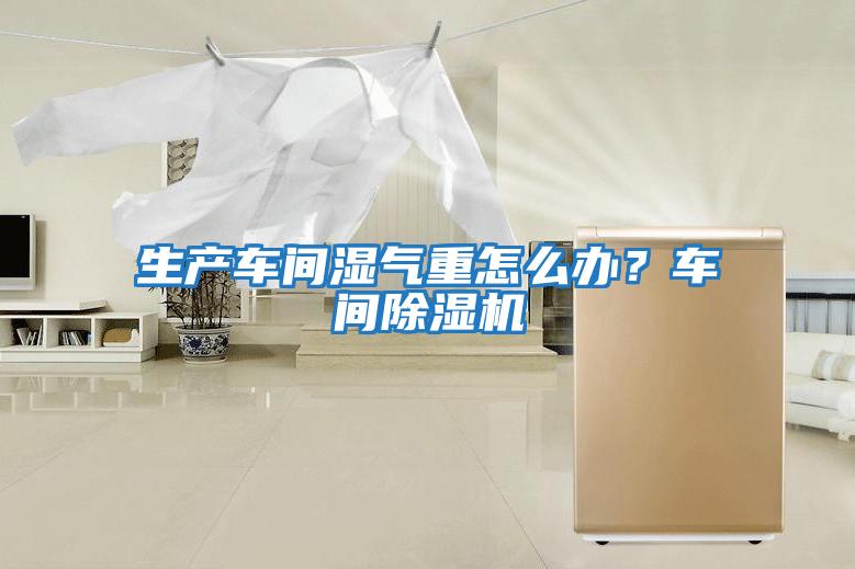 生產(chǎn)車(chē)間濕氣重怎么辦？車(chē)間除濕機