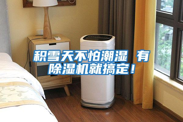 積雪天不怕潮濕 有除濕機就搞定！