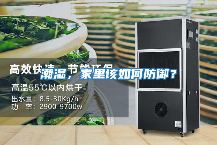 潮濕，家里該如何防御？