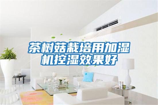 茶樹(shù)菇栽培用加濕機控濕效果好