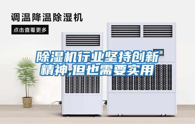 除濕機行業(yè)堅持創(chuàng  )新精神,但也需要實(shí)用