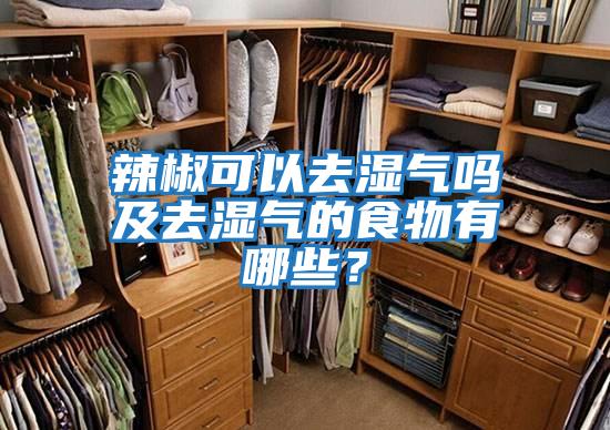 辣椒可以去濕氣嗎及去濕氣的食物有哪些？
