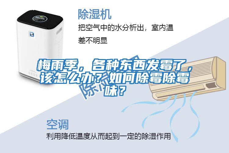 梅雨季，各種東西發(fā)霉了，該怎么辦？如何除霉除霉味？