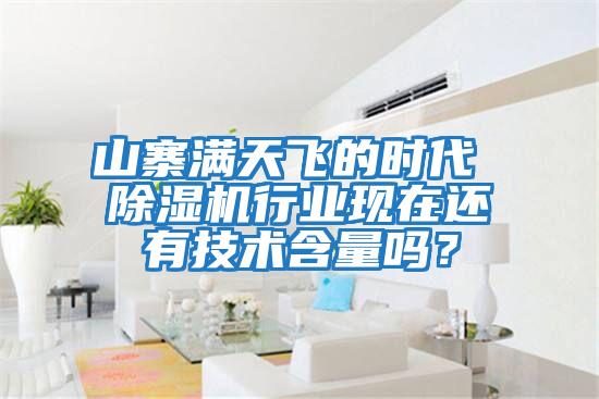 山寨滿(mǎn)天飛的時(shí)代 除濕機行業(yè)現在還有技術(shù)含量嗎？