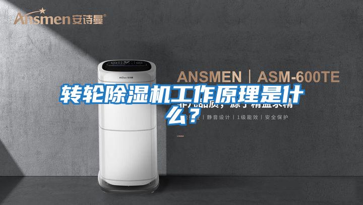轉輪除濕機工作原理是什么？