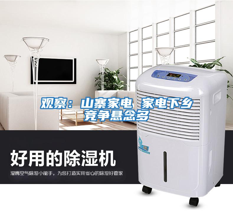 觀(guān)察：山寨家電 家電下鄉競爭懸念多
