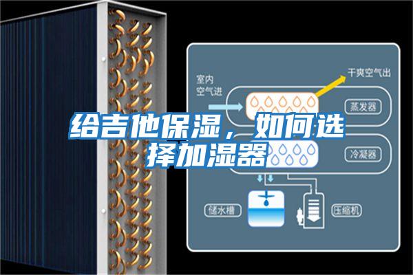 給吉他保濕，如何選擇加濕器