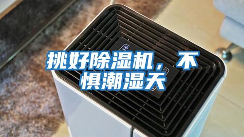 挑好除濕機，不懼潮濕天