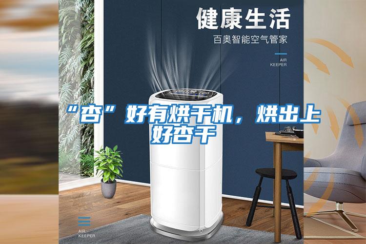 “杏”好有烘干機，烘出上好杏干
