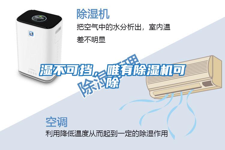 濕不可擋，唯有除濕機可除