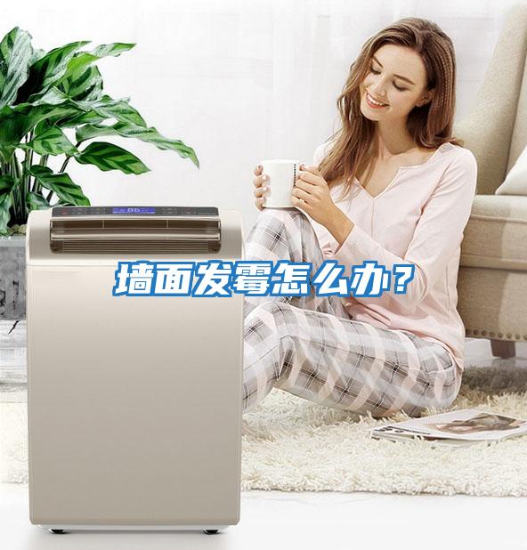 墻面發(fā)霉怎么辦？