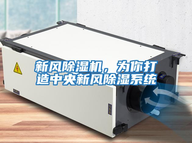 新風(fēng)除濕機，為你打造中央新風(fēng)除濕系統