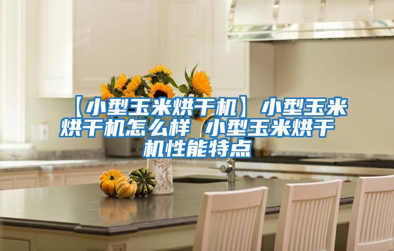 【小型玉米烘干機】小型玉米烘干機怎么樣 小型玉米烘干機性能特點(diǎn)