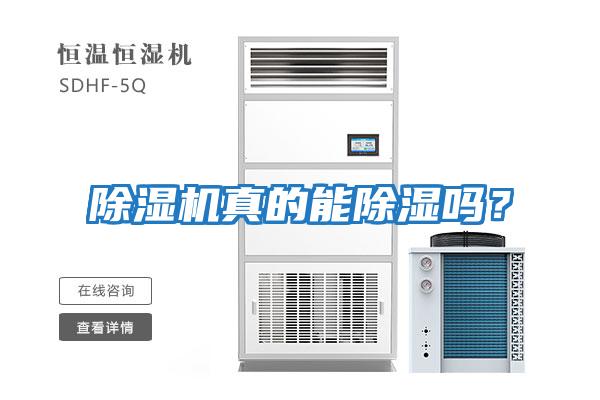 除濕機真的能除濕嗎？