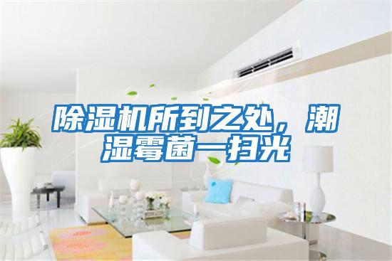 除濕機所到之處，潮濕霉菌一掃光