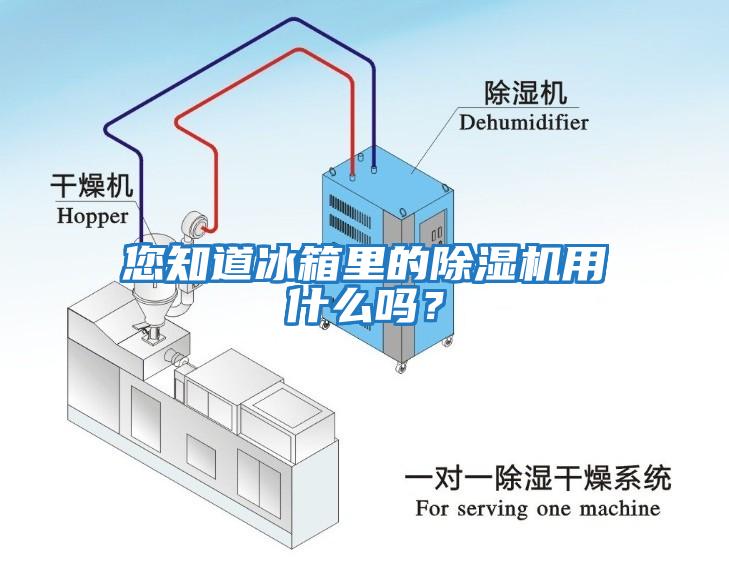 您知道冰箱里的除濕機用什么嗎？