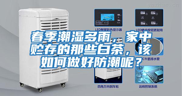 春季潮濕多雨，家中貯存的那些白茶，該如何做好防潮呢？