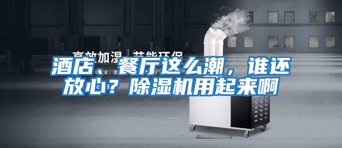 酒店、餐廳這么潮，誰(shuí)還放心？除濕機用起來(lái)啊