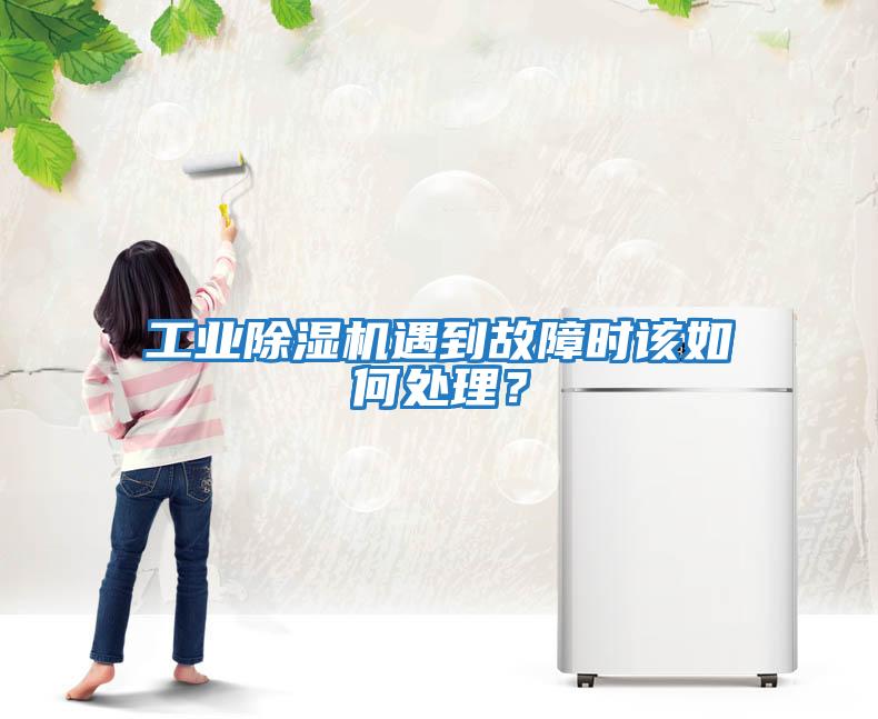 工業(yè)除濕機遇到故障時(shí)該如何處理?