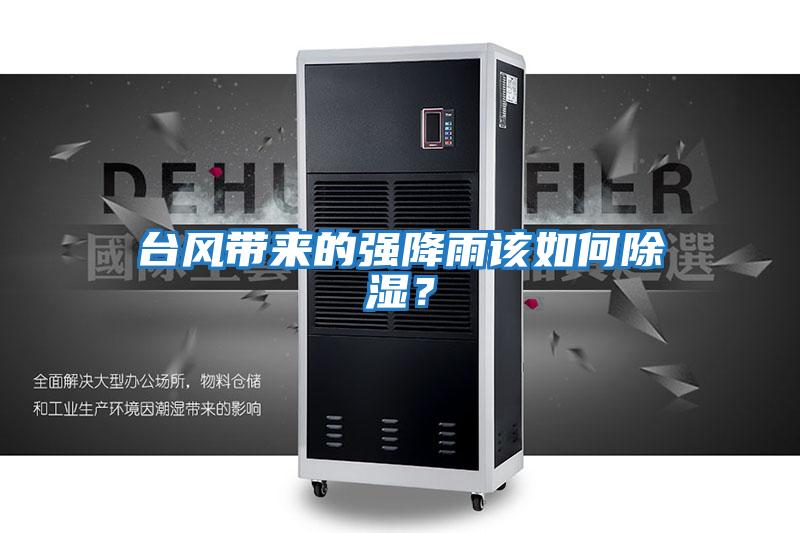 臺風(fēng)帶來(lái)的強降雨該如何除濕？