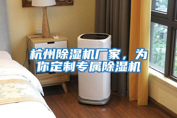 杭州除濕機廠(chǎng)家，為你定制專(zhuān)屬除濕機