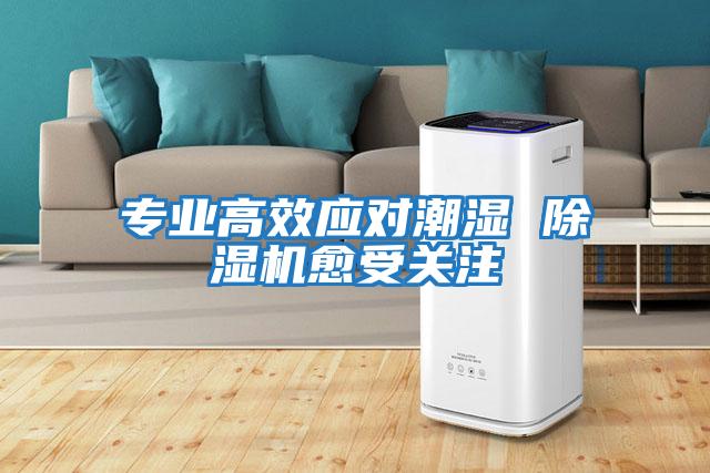 專(zhuān)業(yè)高效應對潮濕 除濕機愈受關(guān)注