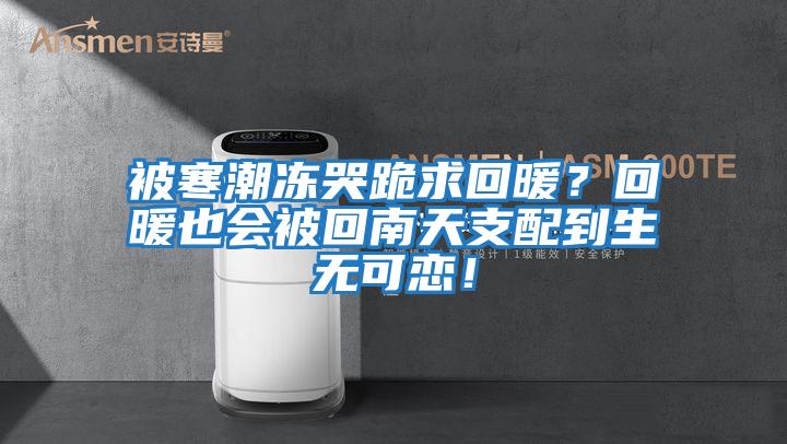 被寒潮凍哭跪求回暖？回暖也會(huì )被回南天支配到生無(wú)可戀！
