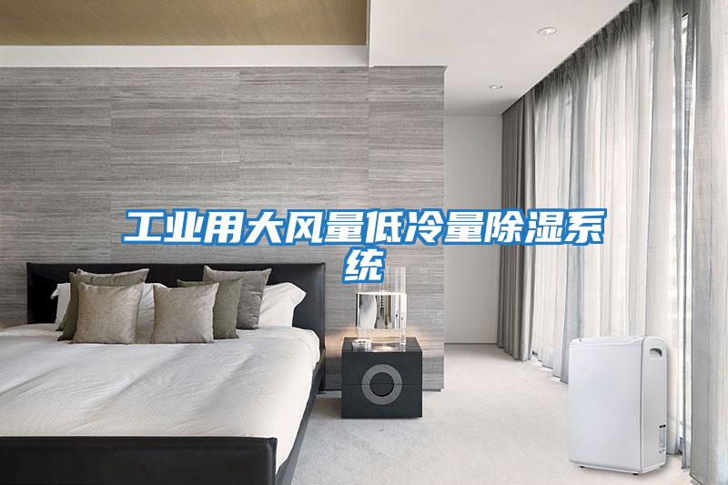 工業(yè)用大風(fēng)量低冷量除濕系統