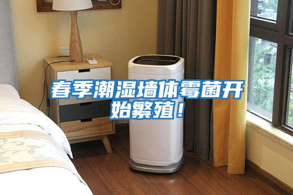 春季潮濕墻體霉菌開(kāi)始繁殖！