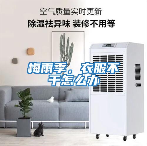 梅雨季，衣服不干怎么辦