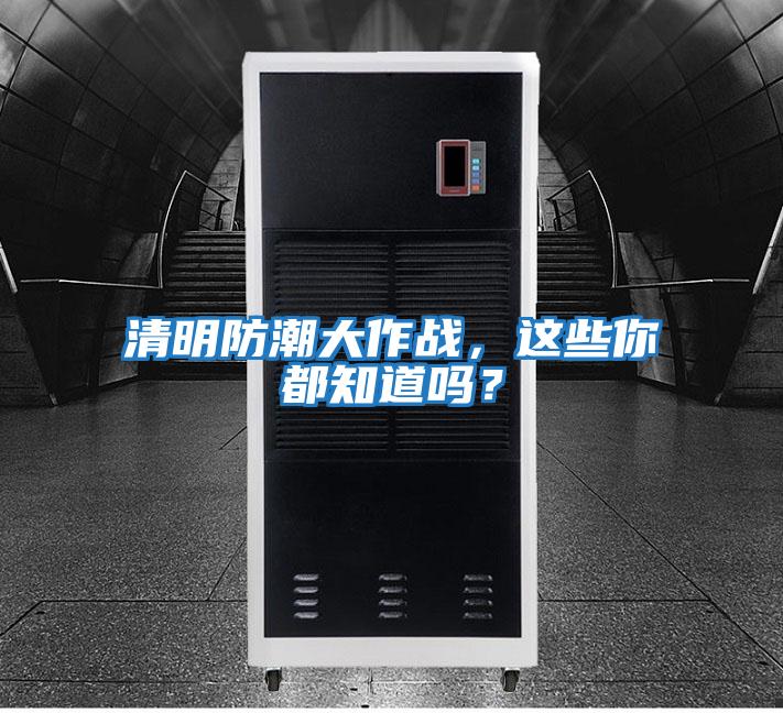 清明防潮大作戰，這些你都知道嗎？