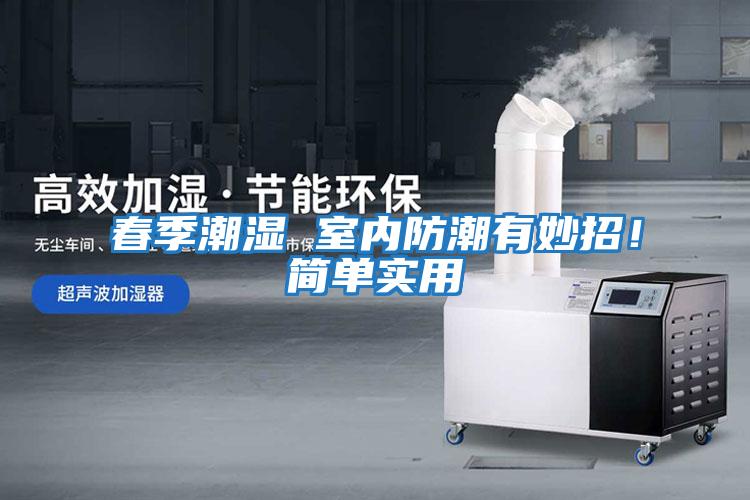春季潮濕 室內防潮有妙招！簡(jiǎn)單實(shí)用