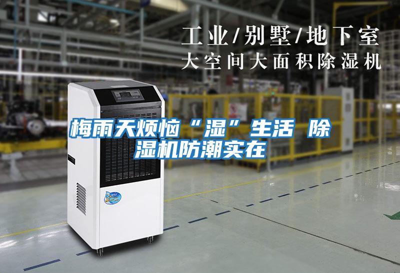 梅雨天煩惱“濕”生活 除濕機防潮實(shí)在