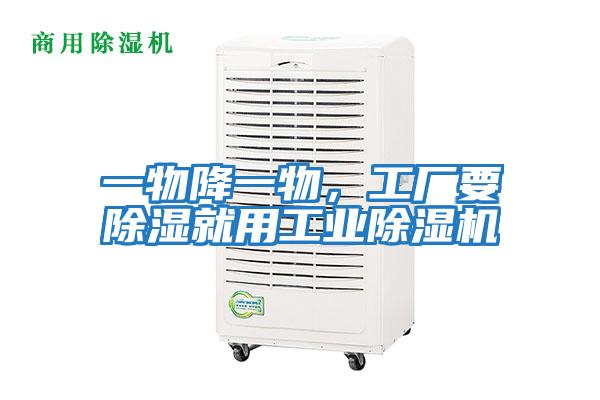 一物降一物，工廠(chǎng)要除濕就用工業(yè)除濕機
