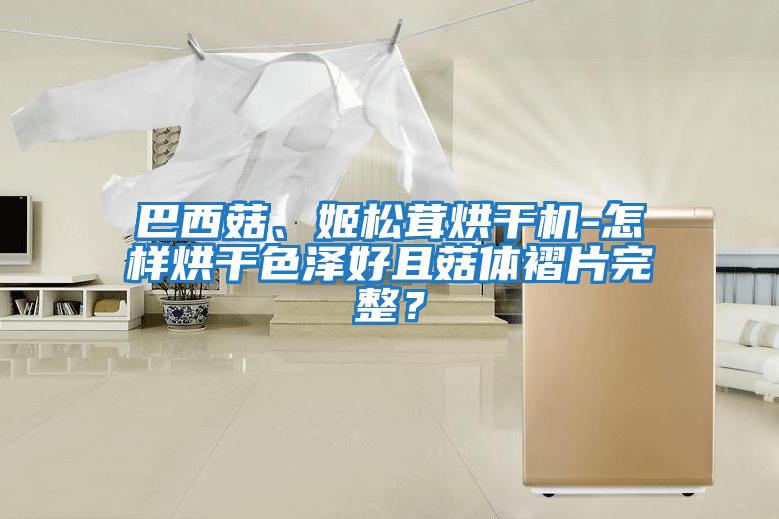 巴西菇、姬松茸烘干機-怎樣烘干色澤好且菇體褶片完整？