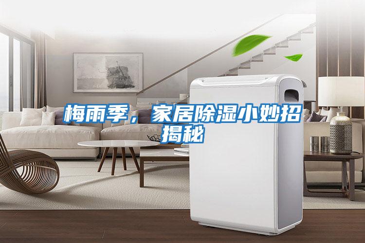 梅雨季，家居除濕小妙招揭秘
