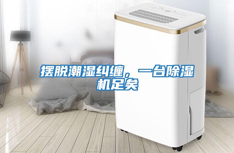 擺脫潮濕糾纏，一臺除濕機足矣