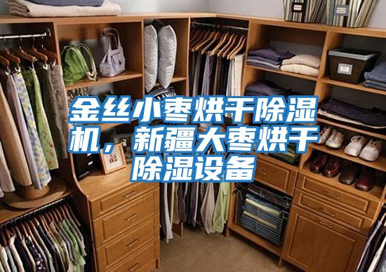 金絲小棗烘干除濕機，新疆大棗烘干除濕設備